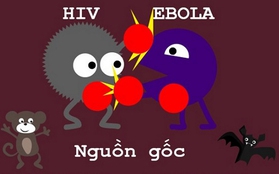 Tranh vẽ: So sánh mức độ nguy hiểm giữa virus HIV và Ebola 