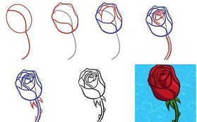 Học vẽ: 8 cách vẽ hoa hồng "dễ như ăn kẹo"