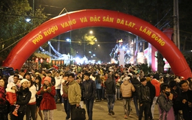 "Biển người" đổ về Đà Lạt tham dự Festival hoa năm 2013