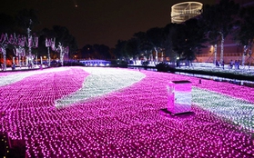Sài Gòn: Ngỡ ngàng ngắm công viên sáng rực trong đêm với nửa triệu bóng đèn Led