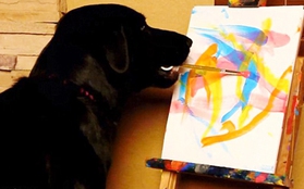 Chú chó danh họa ngậm bút vẽ tranh siêu ấn tượng