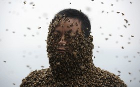 Nổi bật tuần qua: tiên nữ đội rác, để 460 nghìn con ong đậu lên người...