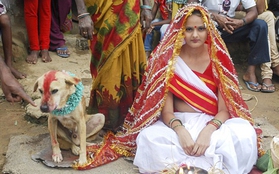 Cô gái trẻ kết hôn với một chú chó để hóa giải lời nguyền