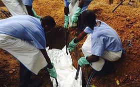 Xuất hiện bệnh nguy hiểm như Ebola?