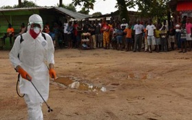Nữ bác sĩ người Pháp nhiễm Ebola ở Liberia