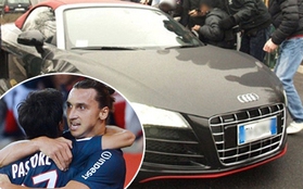 Pastore phá hỏng siêu xe vì "GATO" với Ibrahimovic 