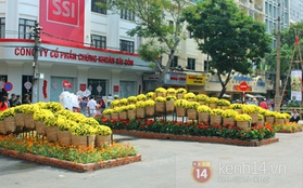 Những hình ảnh đầu tiên về đường hoa Nguyễn Huệ 2013