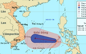 Áp thấp nhiệt đới giật cấp 9 đã vào Biển Đông