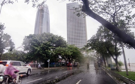 Chùm ảnh: Gió mạnh quần thảo thành phố Đà Nẵng trước giờ tâm bão đổ bộ