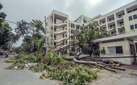 Khung cảnh tan hoang sau bão của nhiều trường học ở Đà Nẵng