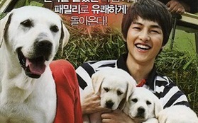 Hàn Quốc ấm lòng với phim bạn Pet "Trái tim"