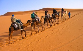 Sahara - Biển cát mênh mông