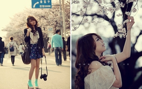 Nữ sinh Việt xinh đẹp bên hoa anh đào tại Hàn Quốc 