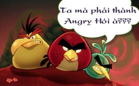 Lên kế hoạch giải cứu Angry Bird khỏi cảnh... rụng tóc