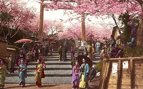 Bộ sưu tập hình ảnh “cực độc” về Nhật Bản xưa (Phần 2) 