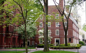 Vì sao Harvard bị truất ngôi trường ĐH hàng đầu thế giới?