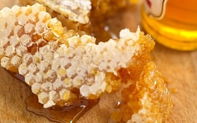 Ngây ngất với cách sản xuất mật ong ngọt ngào