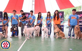 Sài Gòn: Rộn ràng ngày hội thú cưng cùng offline Pet Icon 2011