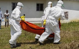 Số trường hợp tử vong vì Ebola tăng lên gần 7.000 người