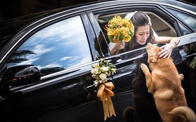 Những bức ảnh cưới đẹp nhất Thế giới năm 2014