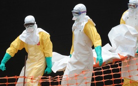 Số trường hợp tử vong vì nhiễm Ebola tăng lên gần 8.000 người