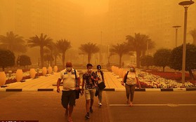 Dubai "đổi màu" vì bão cát