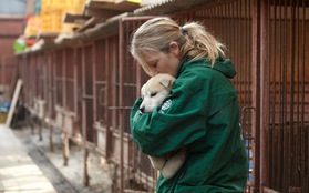 Chùm ảnh: Giải cứu thành công 57 chú chó từ lò giết mổ ở Hàn Quốc