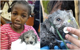 Cô bé bật khóc nức nở khi được đoàn tụ cùng chó cưng sau vụ hỏa hoạn