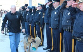 Cảnh sát Mỹ xếp hàng chào vĩnh biệt "chú chó anh hùng" sắp lìa đời