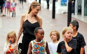 Angelina Jolie dẫn các con tham quan thủy cung