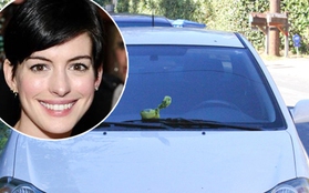 Anne Hathaway vứt phân động vật lên xe paparazzi