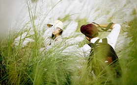 Giới trẻ Đà Nẵng mê tít chụp hình với hoa cỏ lau