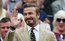 David Beckham gây sốt tại Wimbledon vì quá đẹp trai
