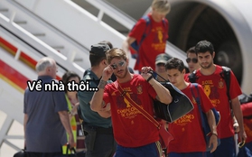 Mưa ảnh chế "mừng" đội tuyển Tây Ban Nha về nước