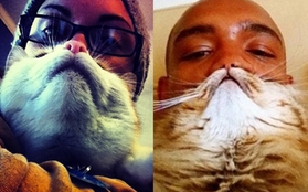 Trào lưu chụp ảnh "Râu mèo" khuấy động cư dân mạng thế giới