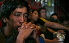 Tổng thống Philippines: Số nạn nhân trong siêu bão Haiyan là 2.000 - 2.500 người