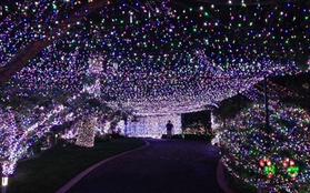 Choáng ngợp trước khu vườn Giáng sinh với nửa triệu đèn màu