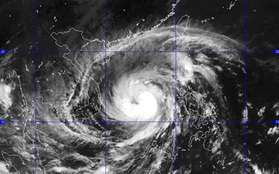 Sóng biển Quảng Ngãi sẽ cao tới 10m trong tâm siêu bão