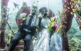 Lễ cưới dưới nước long lanh tại thiên đường Maldives