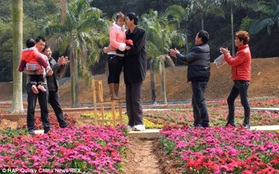 Tình yêu của cặp đôi đũa lệch chàng 2,2m và nàng 1,5m ở Trung Quốc