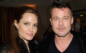 Brangelina đã bỏ lỡ 2 phim bom tấn của Oscar 2014