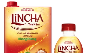 Trà nấm Lincha - Chăm sóc sức khỏe cho giới trẻ