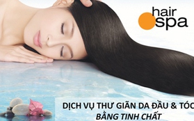 Da đầu ngứa, gàu và tóc dễ rụng - Nguyên nhân đến từ đâu? 