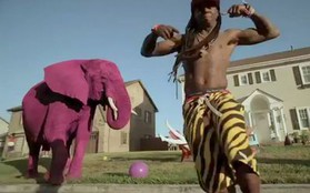 Lil Wayne nhảy nhót bên chú voi màu hồng