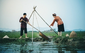 Bộ ảnh cưới độc đáo của cặp Việt kiều Pháp đậm chất nông thôn Việt Nam