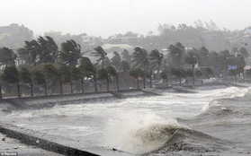 Bão Hagupit khiến 27 người thiệt mạng, cuốn trôi nhiều của cải vật chất