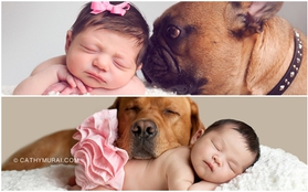 Ngộ nghĩnh những giấc ngủ của các em bé bên cún cưng