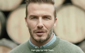 Hot: David Beckham sẽ đến Việt Nam trong tháng 11