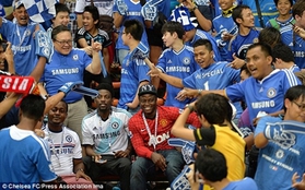 Fan cuồng liều mình mặc áo MU ngồi giữa rừng fan Chelsea