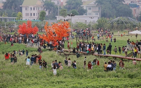 7.000 người kéo đến, thung lũng hoa Hồ Tây tan hoang sau hơn 2 ngày miễn phí